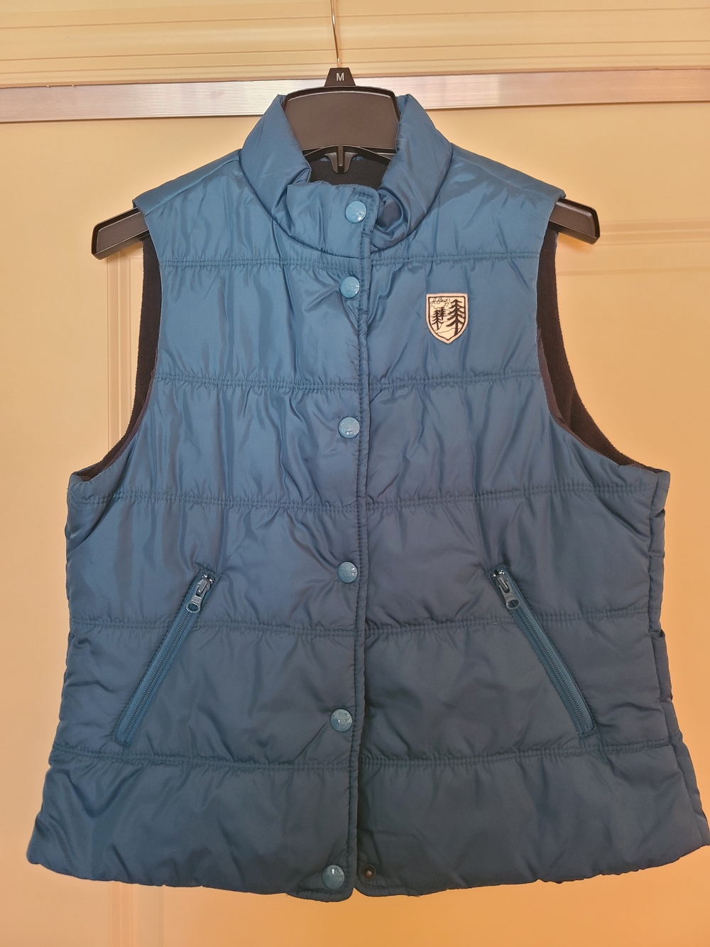 American Eagle Outfitters Teal Quilted Puffer Vest